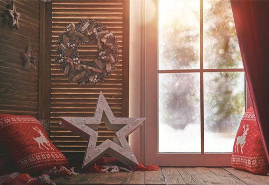 Window Winter Christmas Photo Backdrop for Photographers
