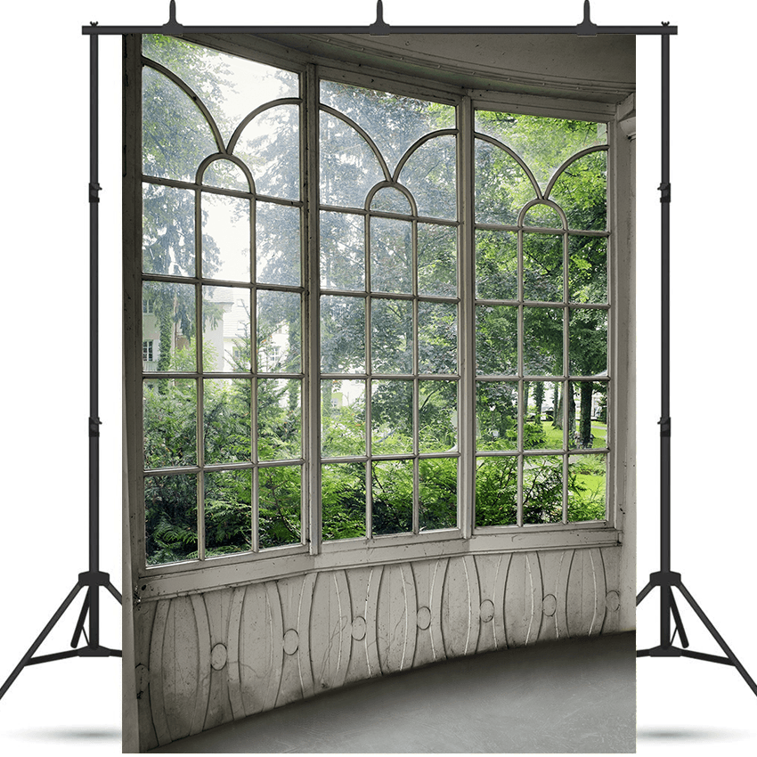 Old Winter Green Background Backdrop for Photography SBH0251