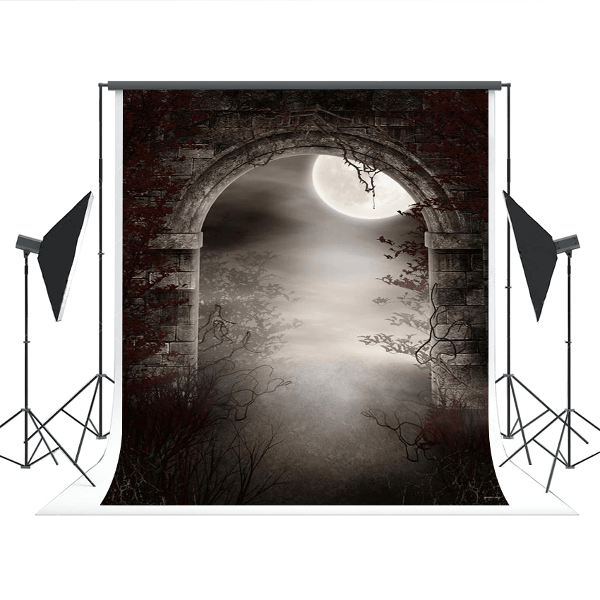Halloween Door Bright Moon Branches Photography Backdrops