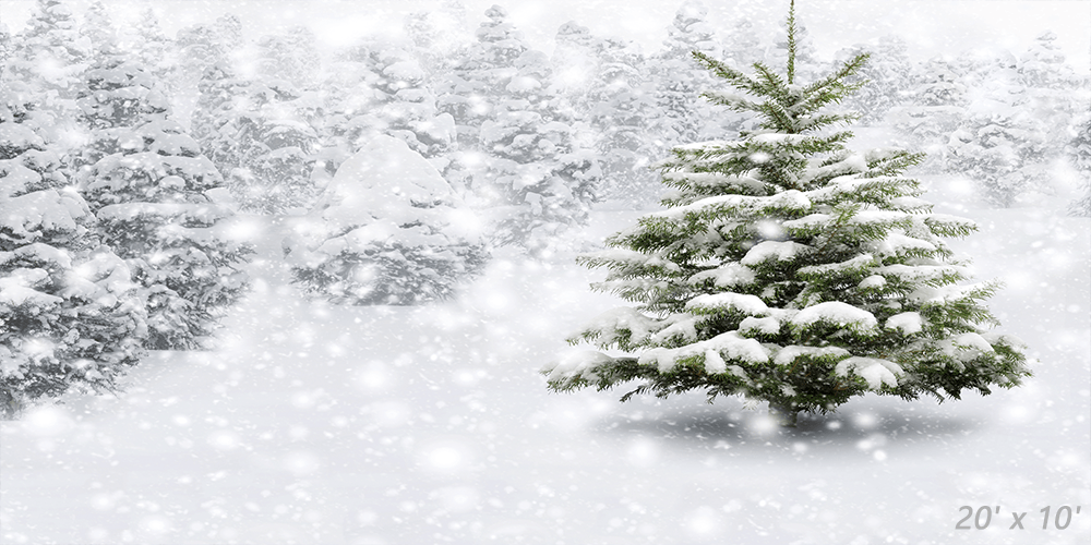 Winter Forest With Snowy Fir Trees Backdrops for Photography SBH0303