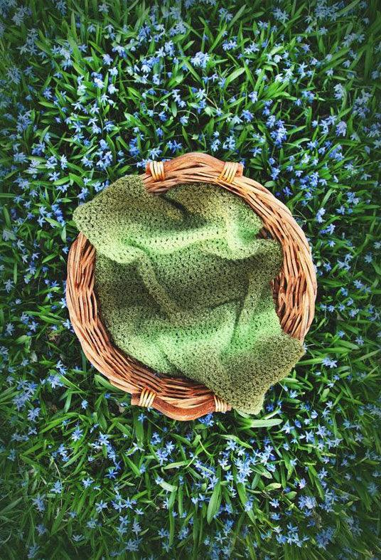 Spring Basket On Green Grass Backdrop Green Plant Photography Background
