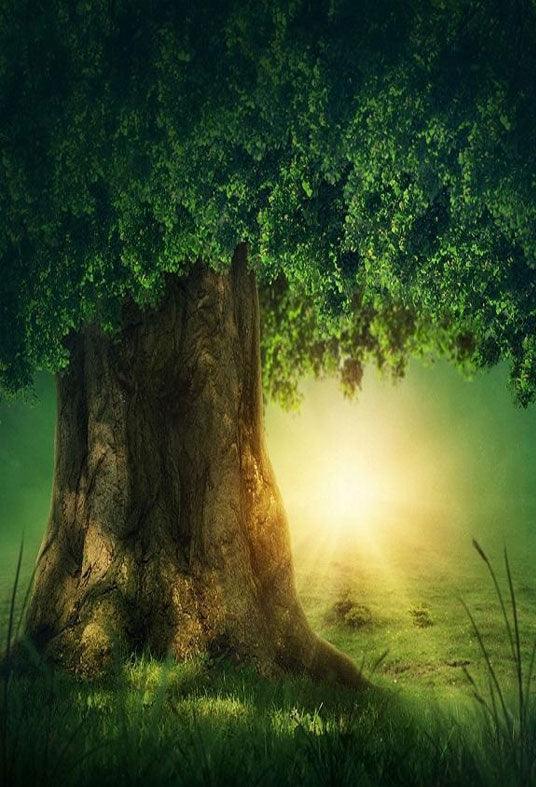 fairy tale Big Old Tree and sunshine Backdrop for Photography Background