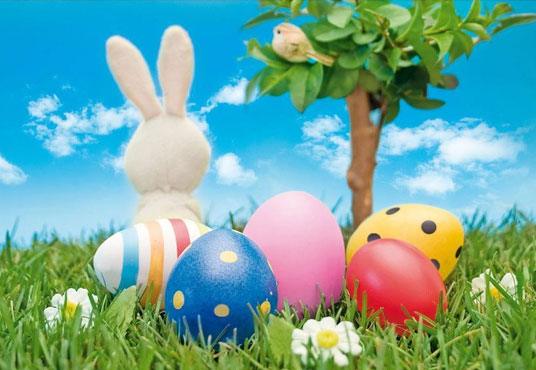 Rabbit And Colorful Eggs Backdrop For Easter Festival Photography