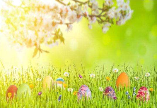 Colorful Easter Eggs On Green Grass Backdrop For Photography Background