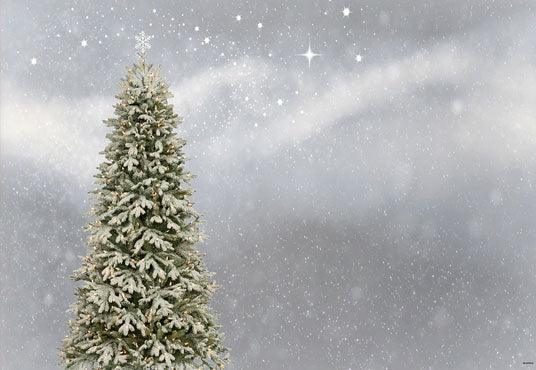 Sliver Christmas Backdrops Pine for Winter