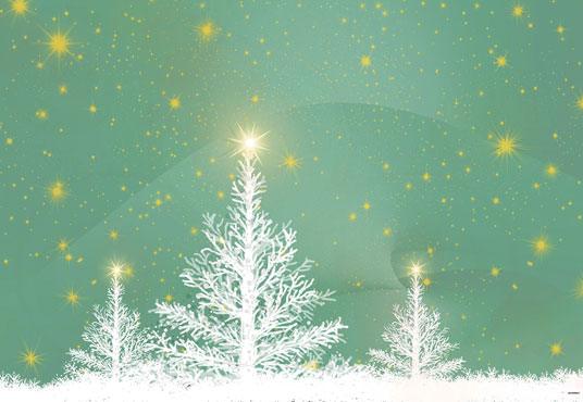 White Christmas Tree Mint Photography Backdrops