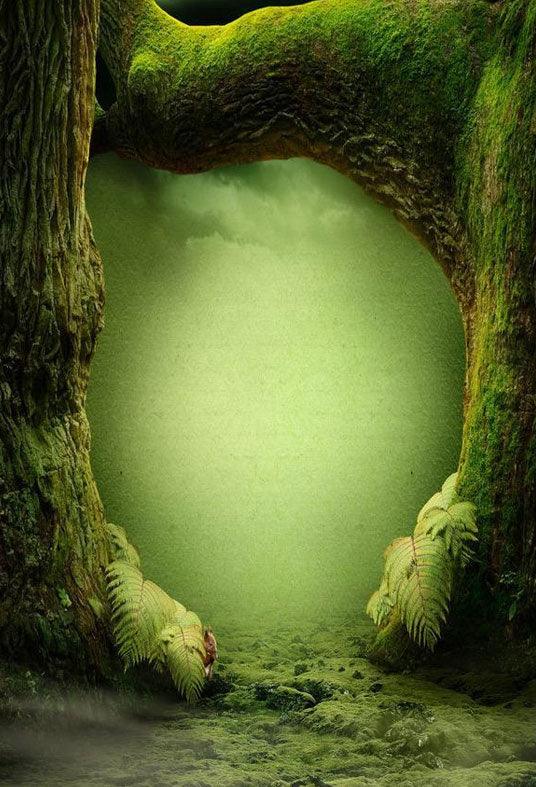Big Tree Backdrop Secret Green Forest Scenery Photography Background
