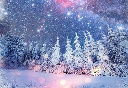 Snowflake Winter Photo Backdrop