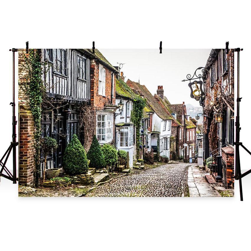 Small Town Street Scenery Backdrop Photography Background