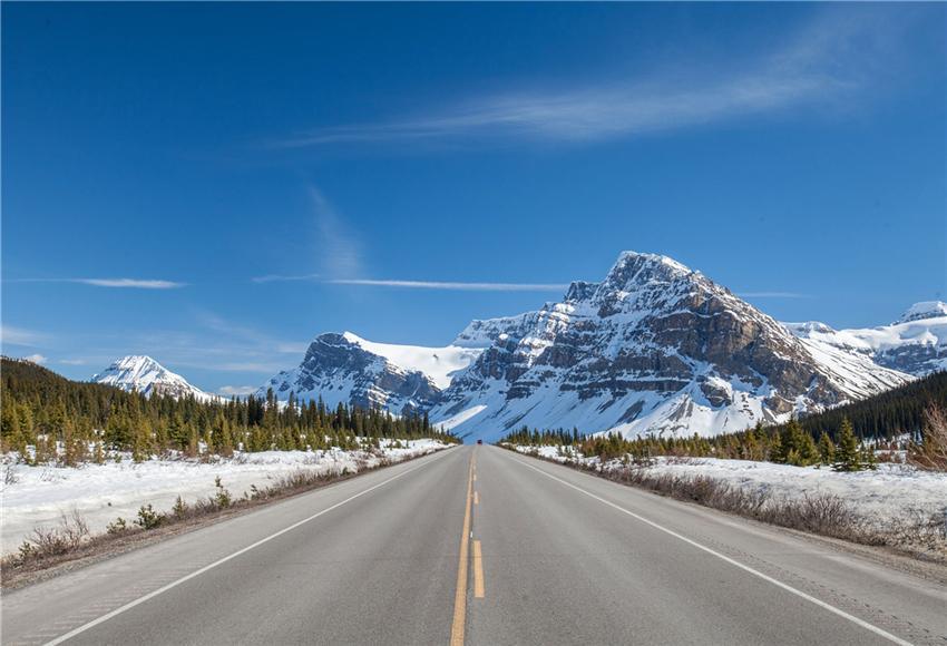 Outside Scenery Winter Backdrop for Picture