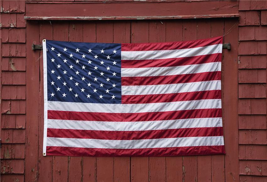 Purple Wood Wall America Flags Photography Backdrop