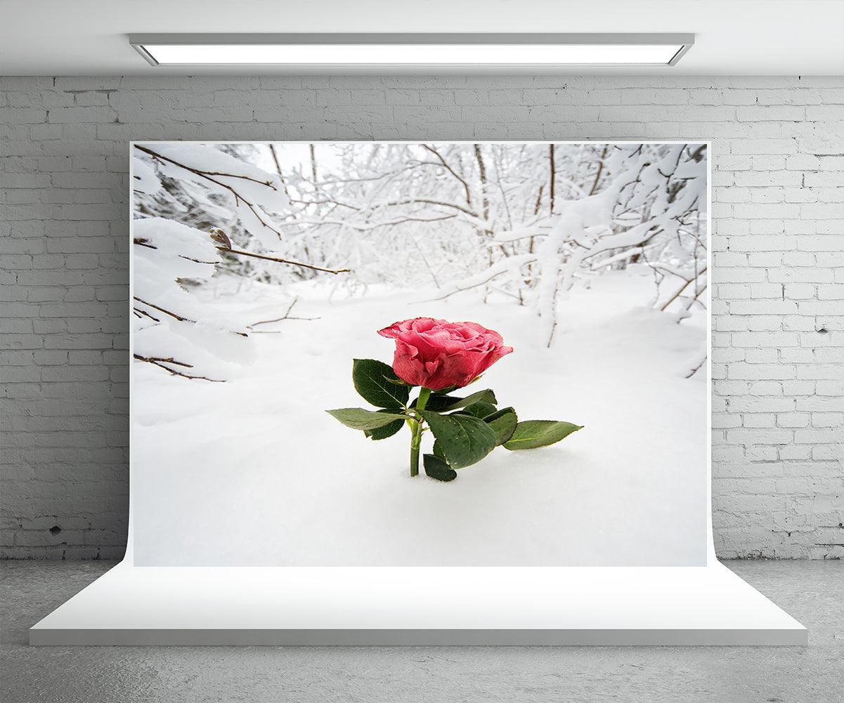 Red Rose Snow Photography Backdrop For Winter