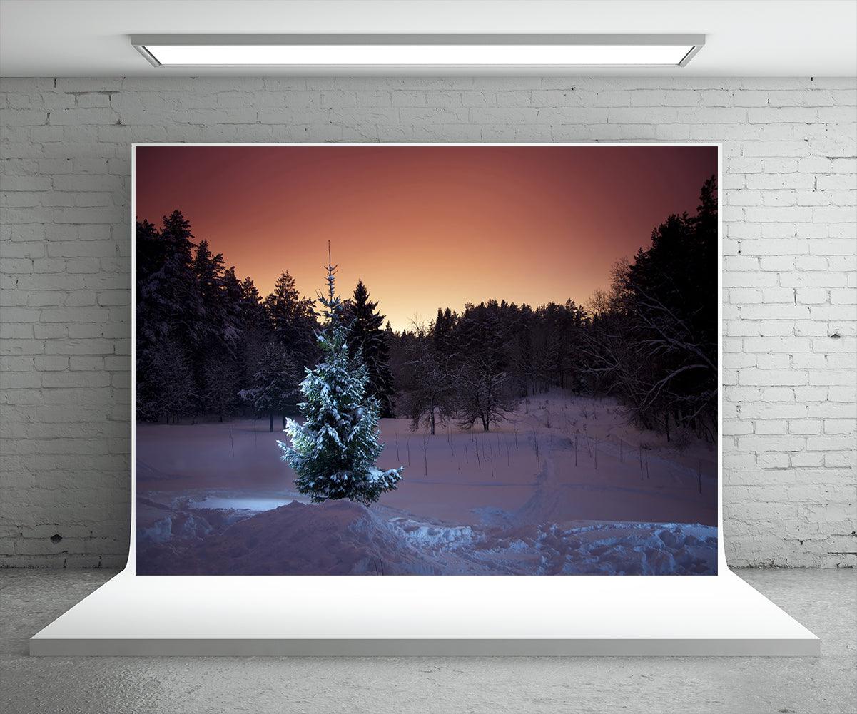 Night Snow Tree Photography Backdrop for Winter