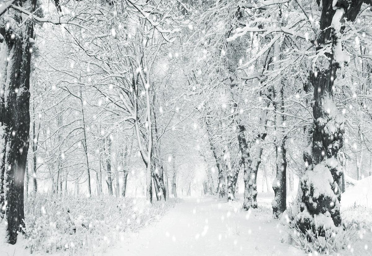 White Snowflake Forest Photography Backdrop Winter Background