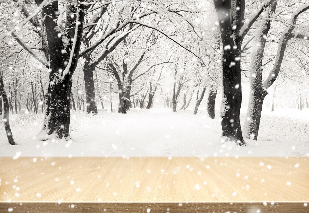 White Snowflake Wood floor Photography Backdrop Winter Background