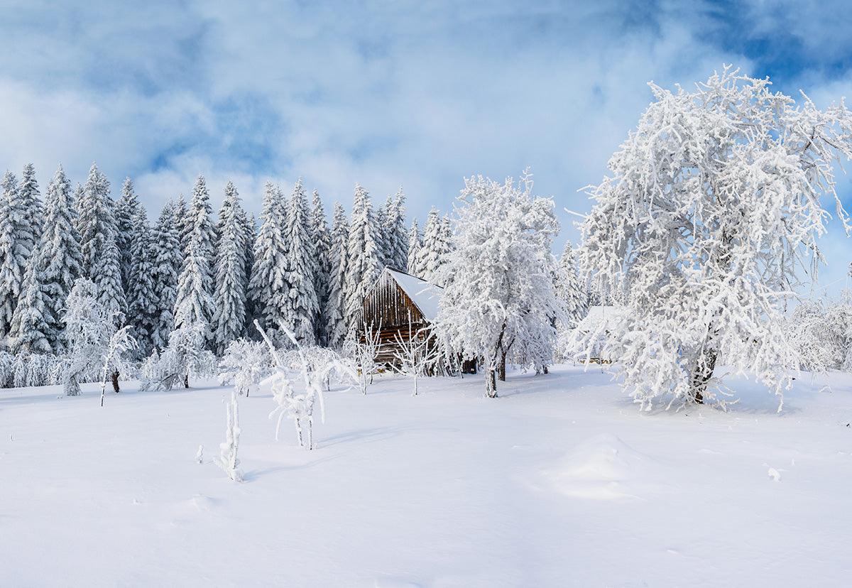 Winter White Snow Cover Forest Photography Backdrop