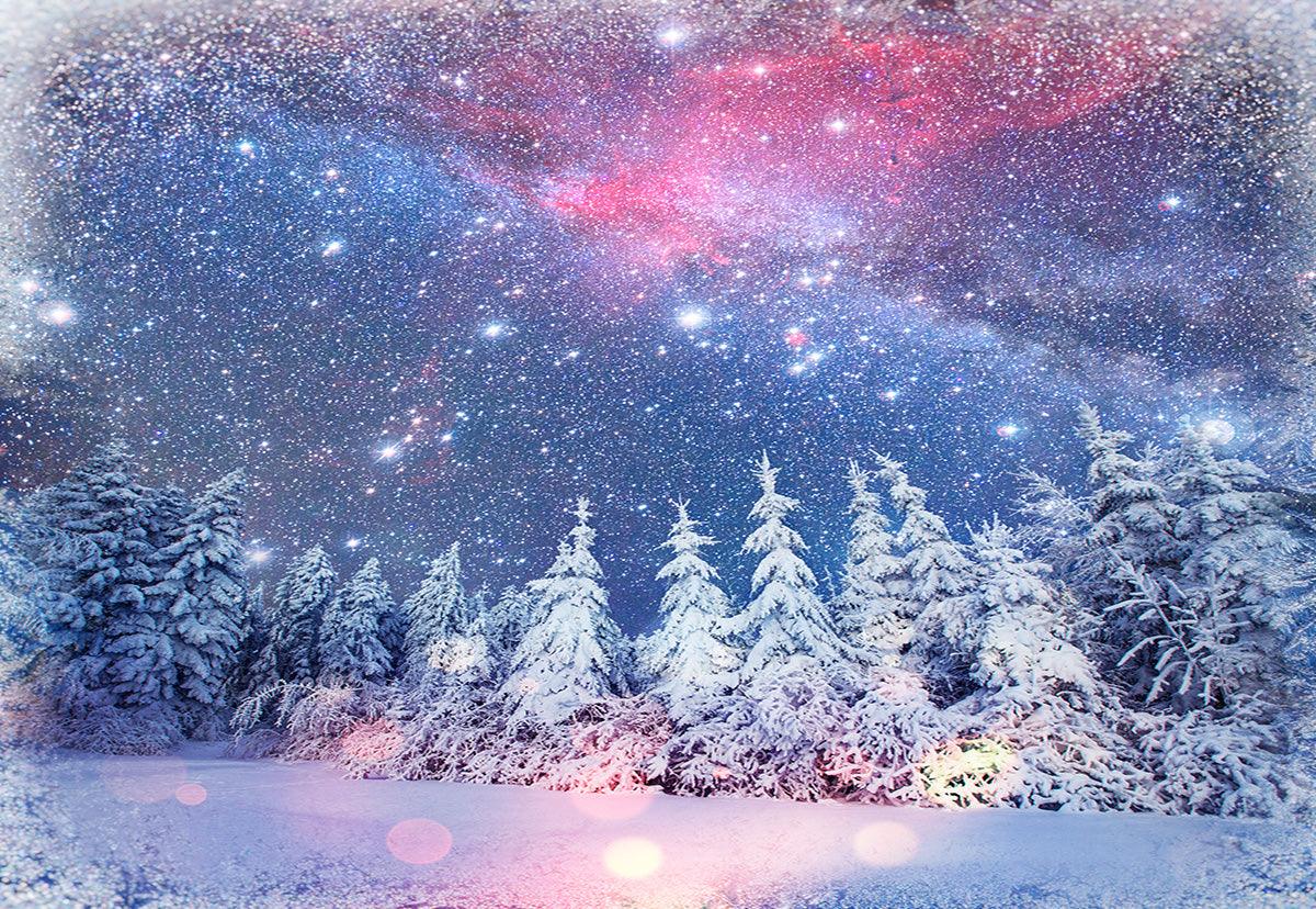 Forest Photography Backdrop Winter Background for Wonderland Snow