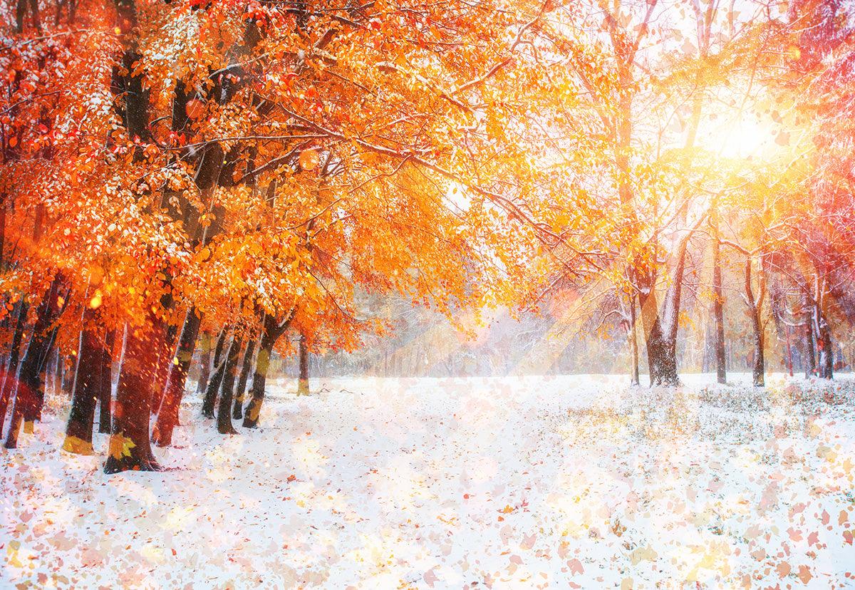 Red Maple Snow Sunlight Photography Backdrop Winter Background