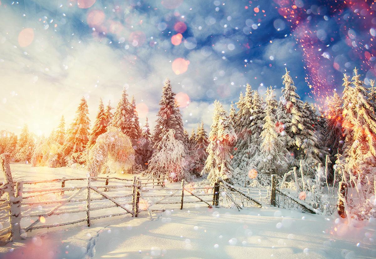 Sunlight Snowflake Winter Photography Backdrop