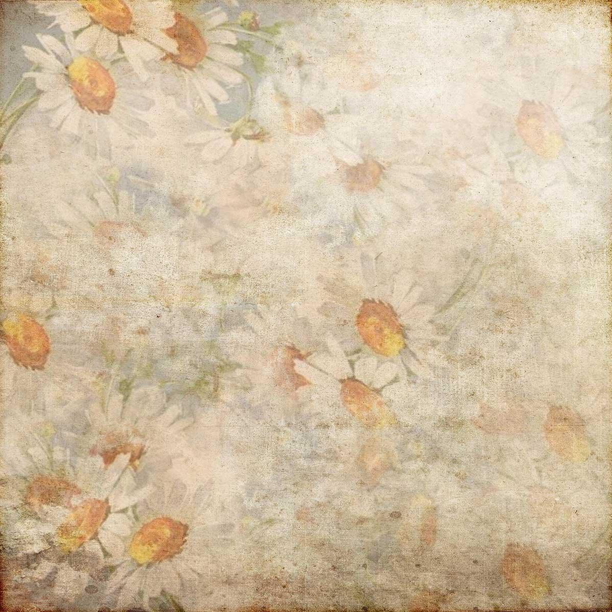 White Daisy Flowers Photography Backdrops for Picture