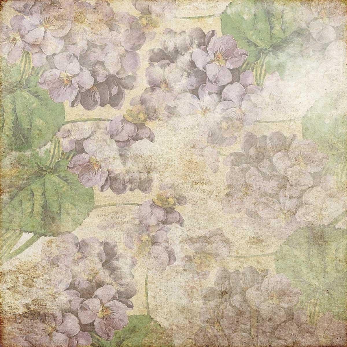 Purple Petal Vintage Green Leaves Photo Studio Background