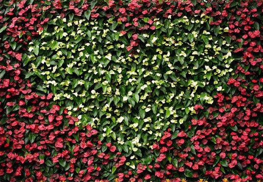 Love Heart Flower Wall Backdrop For Events Photography