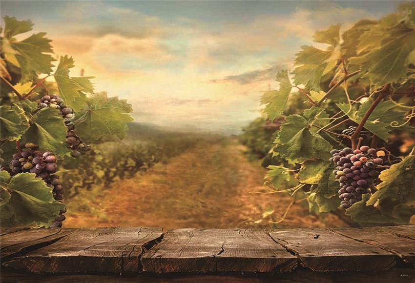 Vine Tree Plant Spring Backdrop for Photography Prop