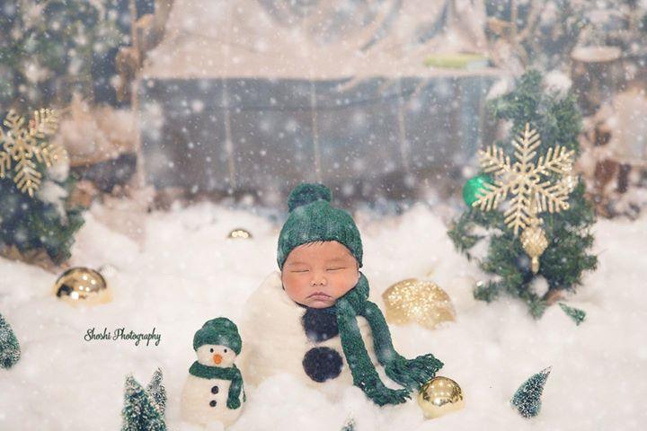Glitter Snowflake Christmas Tree Backdrop for Studio