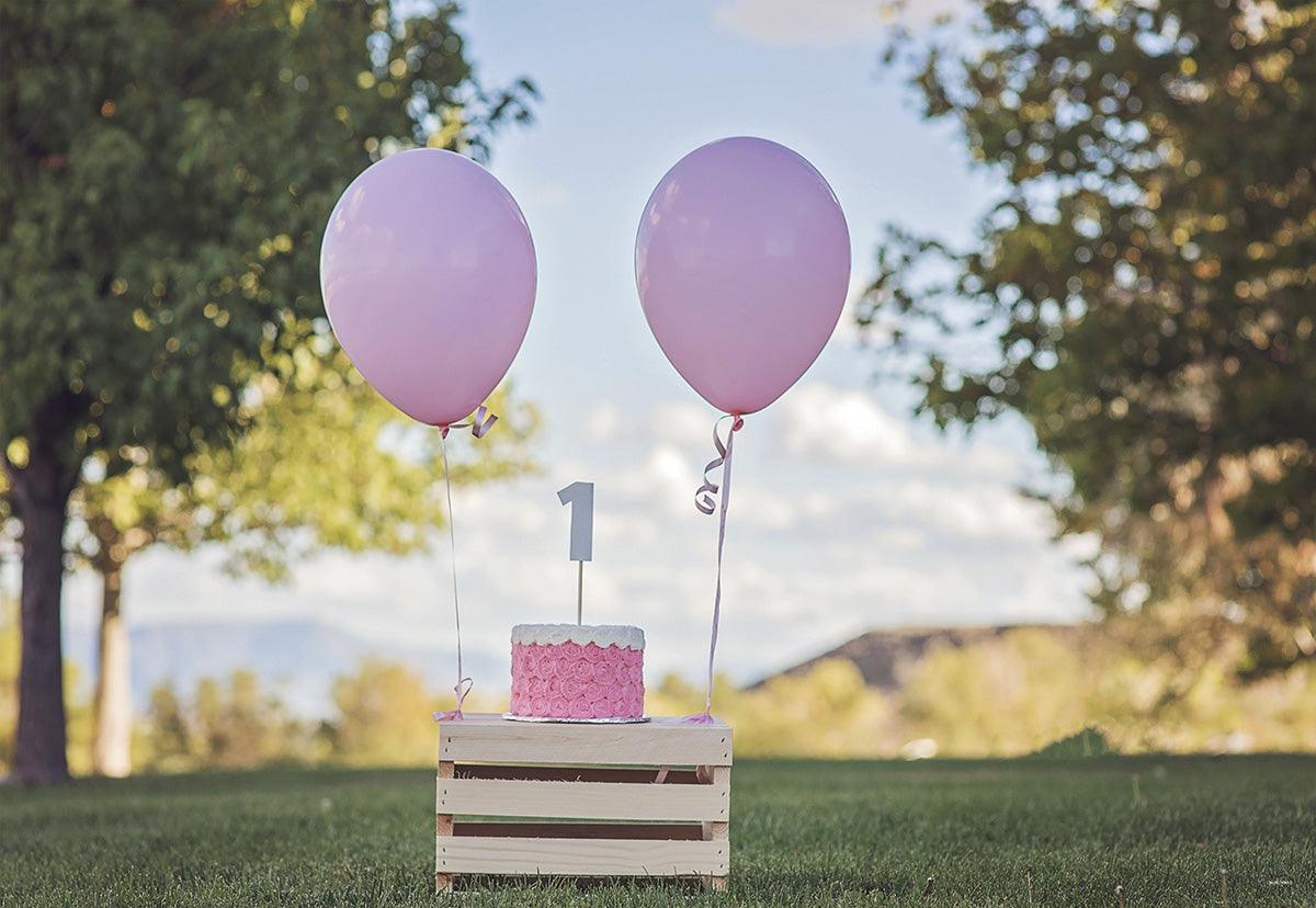 1st Pink Birthday Baby Show Outdoor Backdrops