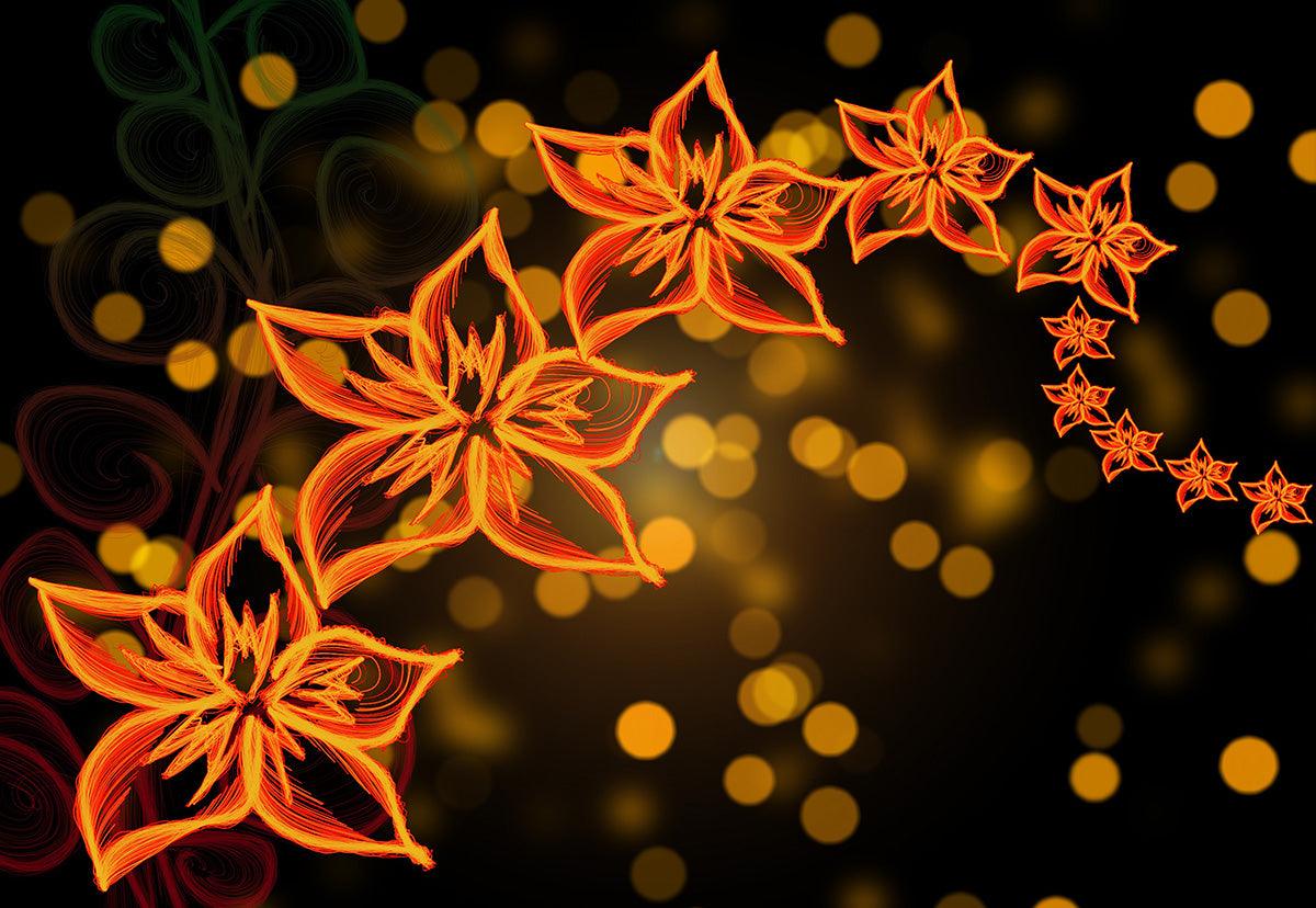 Bokeh Black Bokeh Red Flowers Backdrops