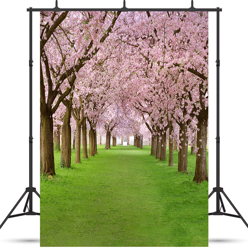 Blossoming Cherry Trees Backdrop for Spring Photography SBH0358