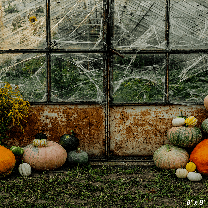 Pumpkin Greenhouse Halloween Backdrop for Photo SBH0626