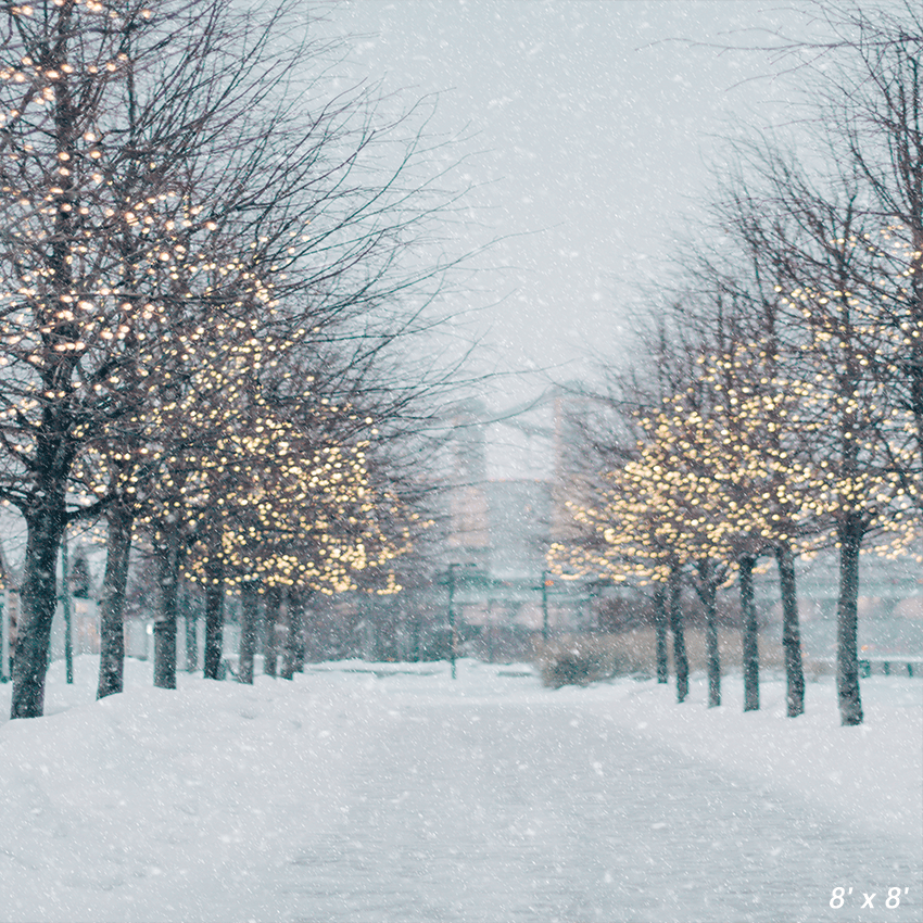 Blurred Winter Tree Falling Snow Backdrop for Photo SBH0645