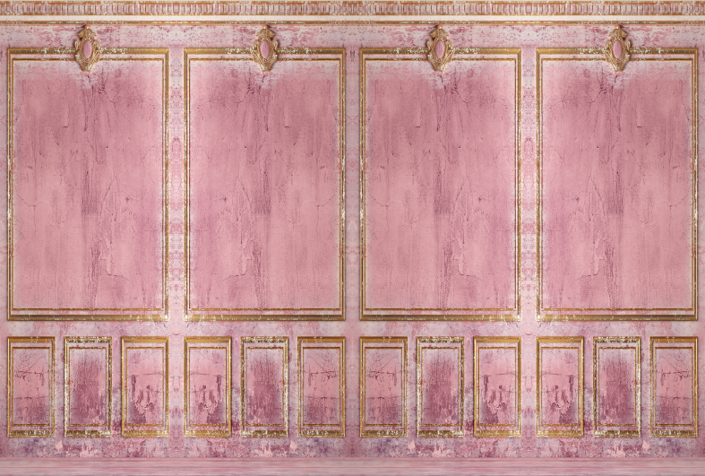 Pink Classic Wall Old Gold Stucco Backdrop for Photo SBH0757