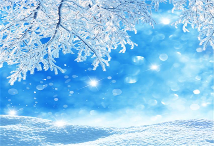 Snow Branches Blue Sky Winter Backdrop for Photography