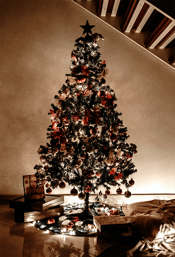Brown Shiny Light Christmas Tree Photo Studio Backdrop
