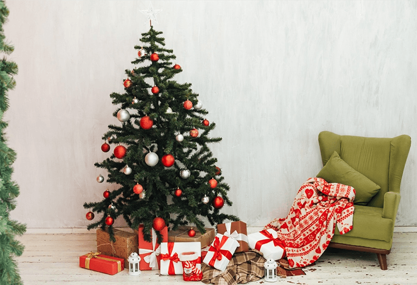 White Wall Carpet Green Sofa Christmas Tree Backdrop