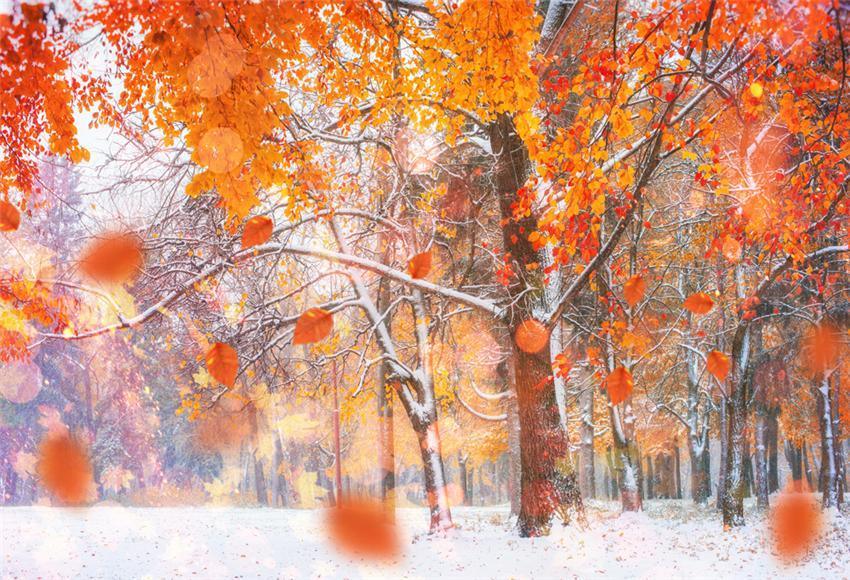 Winter Maple Leaves Snow Backdrop for Picture
