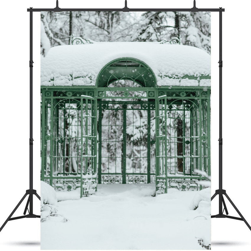 Cold Snowy Winter Weather Backdrop  for Photography SBH0296