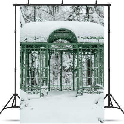 Cold Snowy Winter Weather Backdrop  for Photography SBH0296