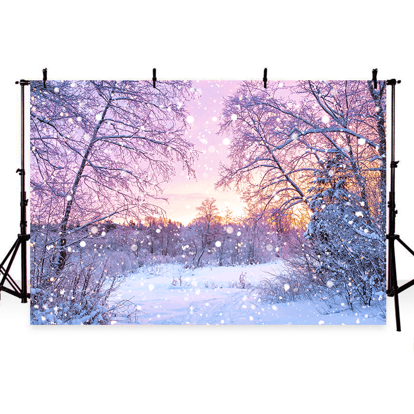 Winter Sunrise In Snowy Forest Photography Backdrop SBH0300