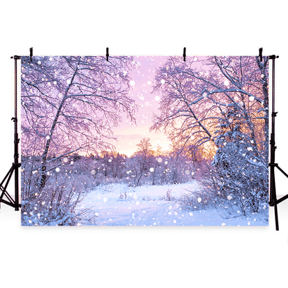 Winter Sunrise In Snowy Forest Photography Backdrop SBH0300