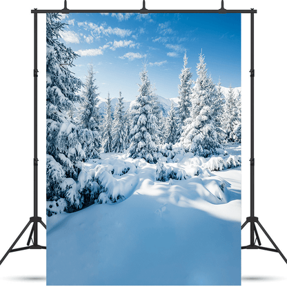 Winter Snowy Landscape Backdrops Photo Studio Props SBH0302