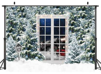 Pine trees and Door With Sparkles Christmas Backdrops for Photo Studio SBH0270
