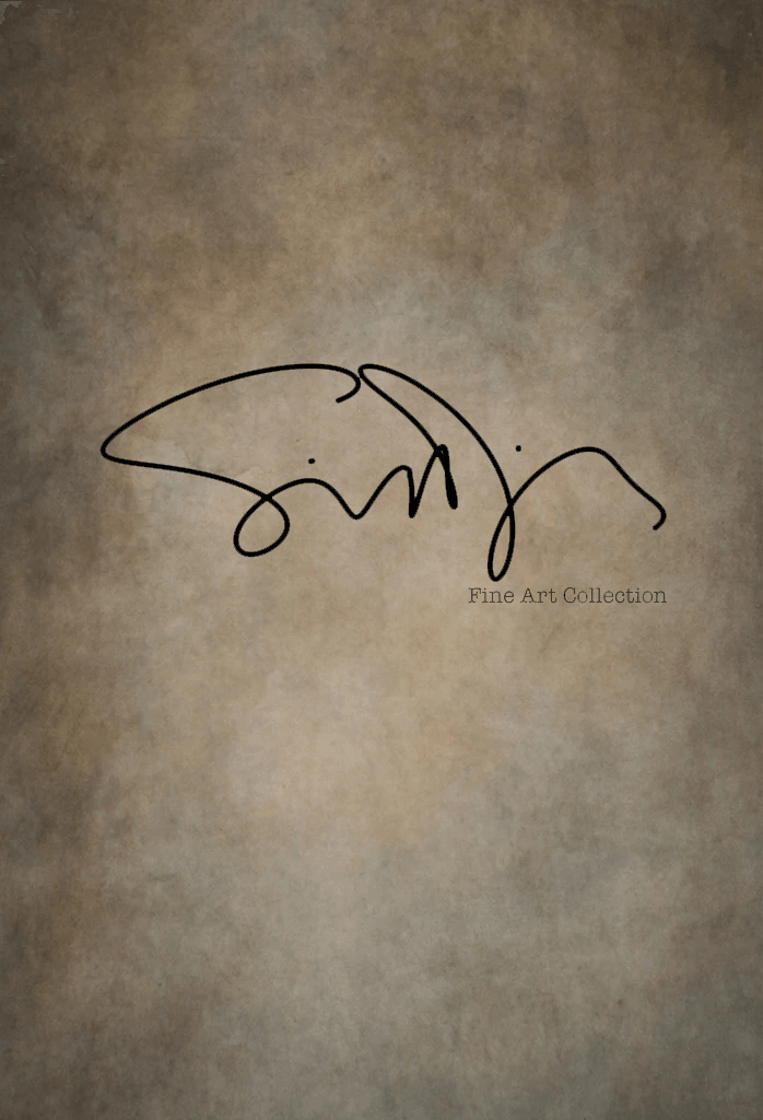 Simon Diez Vintage Abstract Backdrop for Portrait