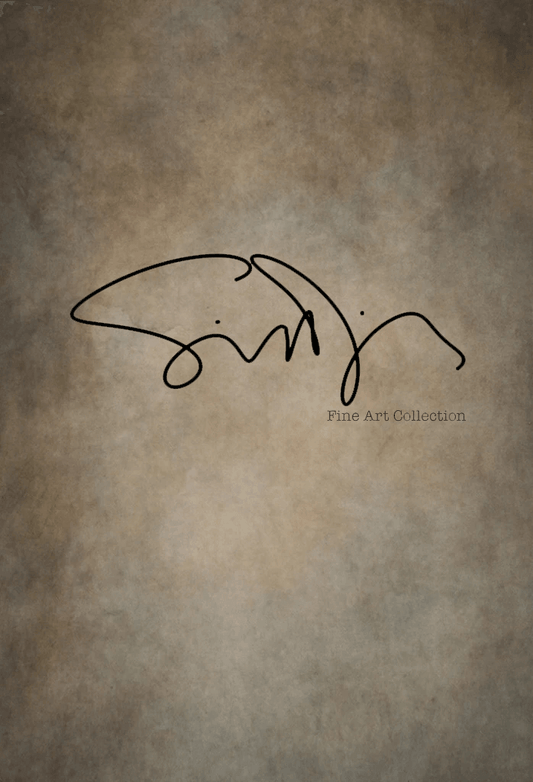 Simon Diez Vintage Abstract Backdrop for Portrait