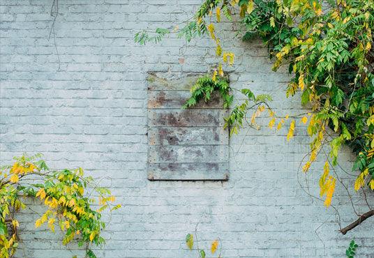 Spring White Brick Wall Green Leaves Photography Backdrops