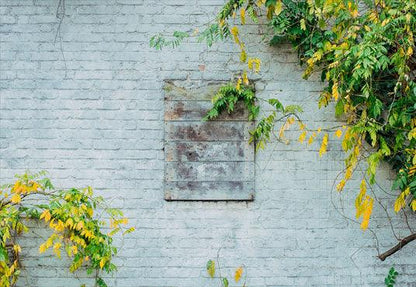 Spring White Brick Wall Green Leaves Photography Backdrops