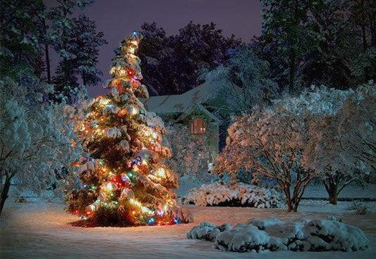 Night Light Glitter Christmas Tree Photography Backdrop Winter Background