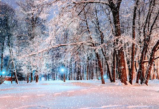 Winter Background Night Snowing Park Photography Backdrop
